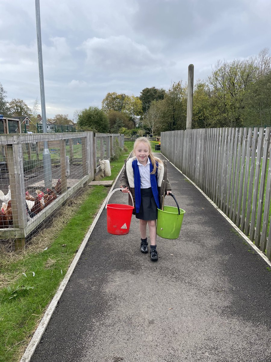 OABroadoak's tweet photo. The Animal Nurture group enjoyed feeding the chickens and collecting their eggs. #forestshool #animalnurture #happychickens https://t.co/8g8W4xILkb