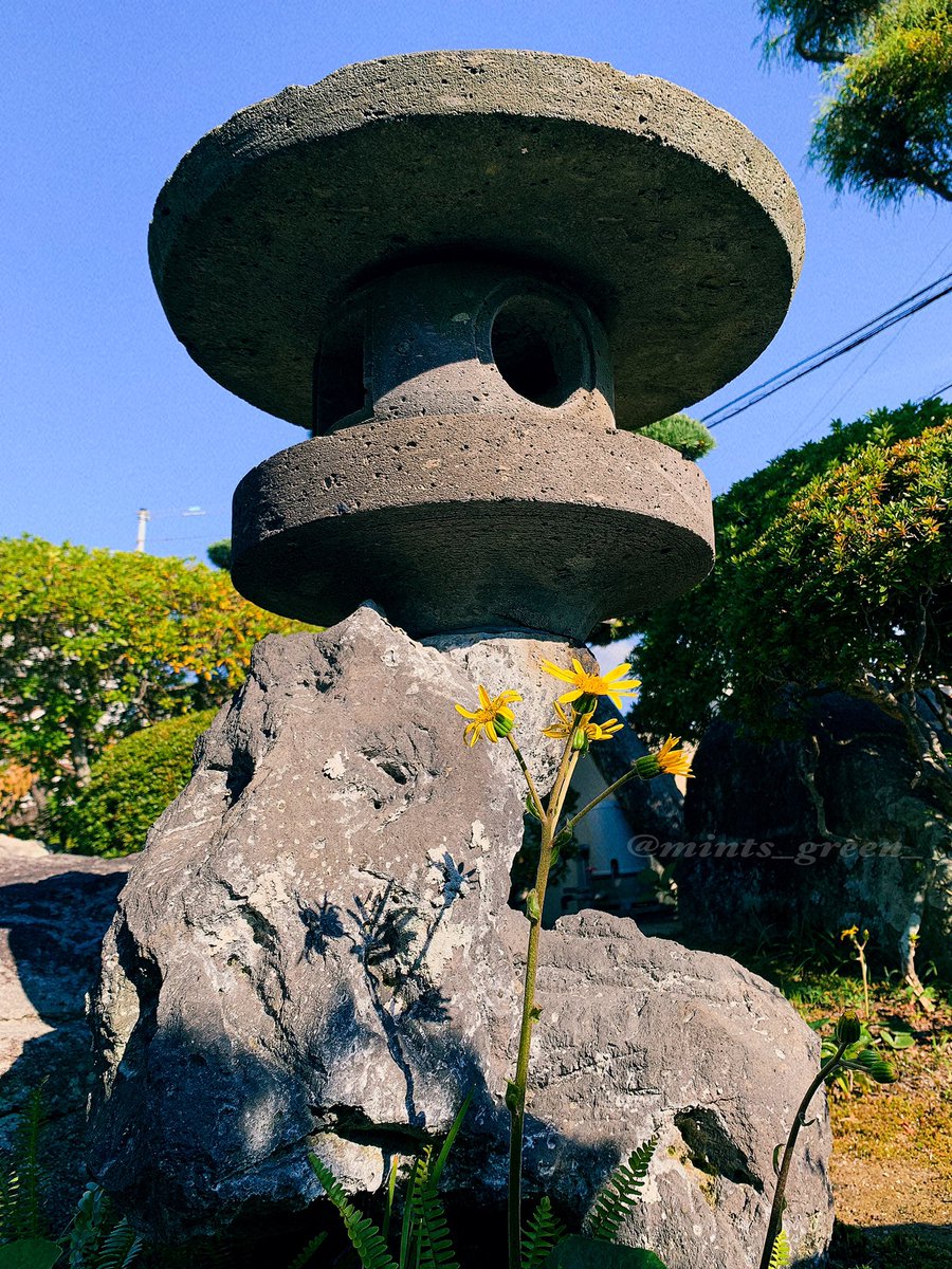 mints_green_'s tweet photo. 久しぶりの投稿です。

たわいもない写真ですが　
マイペースで出没しますw https://t.co/2gBhQSrKPV