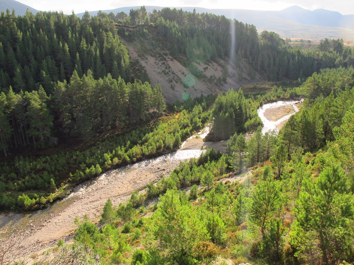 Summer heatwaves are threatening endangered freshwater pearl mussels and the 🐟 upon which they depend. 

We are raising money to restore riverbank woodland habitats to boost climate resilience.

Our uk.givergy.com/riverwoods auction ends at 20:00GMT tonight! Happy Bidding!