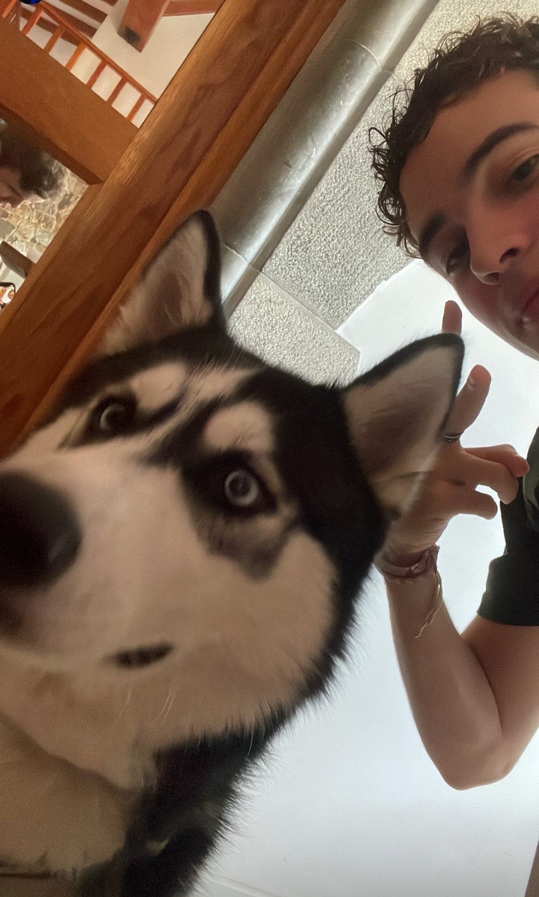 Koldo On Twitter Mirad El Traje De Halloween De Xico Https t co koldo-on-twitter-mirad-el-traje-de-halloween-de-xico-https-t-co