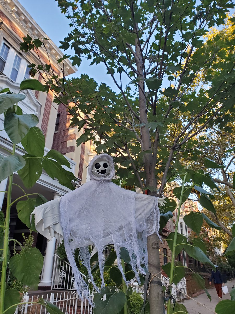 ForestforAllNYC's tweet photo. #TrickorTree!? Our #UrbanForest might have a few surprises hidden in it โ keep a look out as you enjoy Halloween! ๐๐ณ๐ https://t.co/tuP8cb3MvJ
