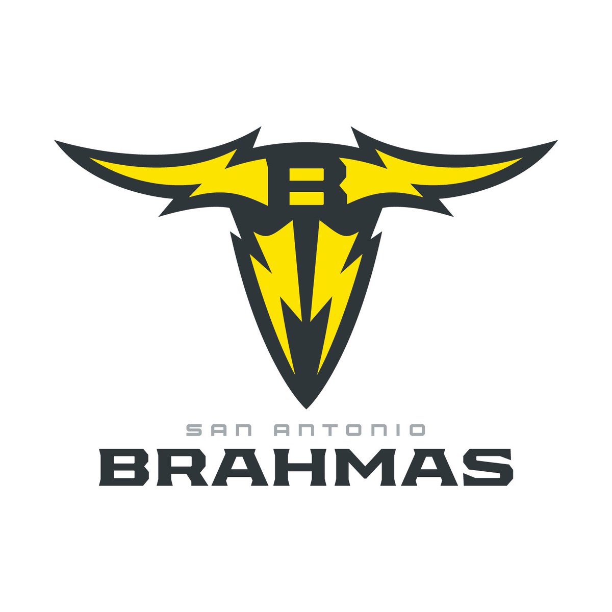 The San Antonio XFL team will be the Brahmas.
