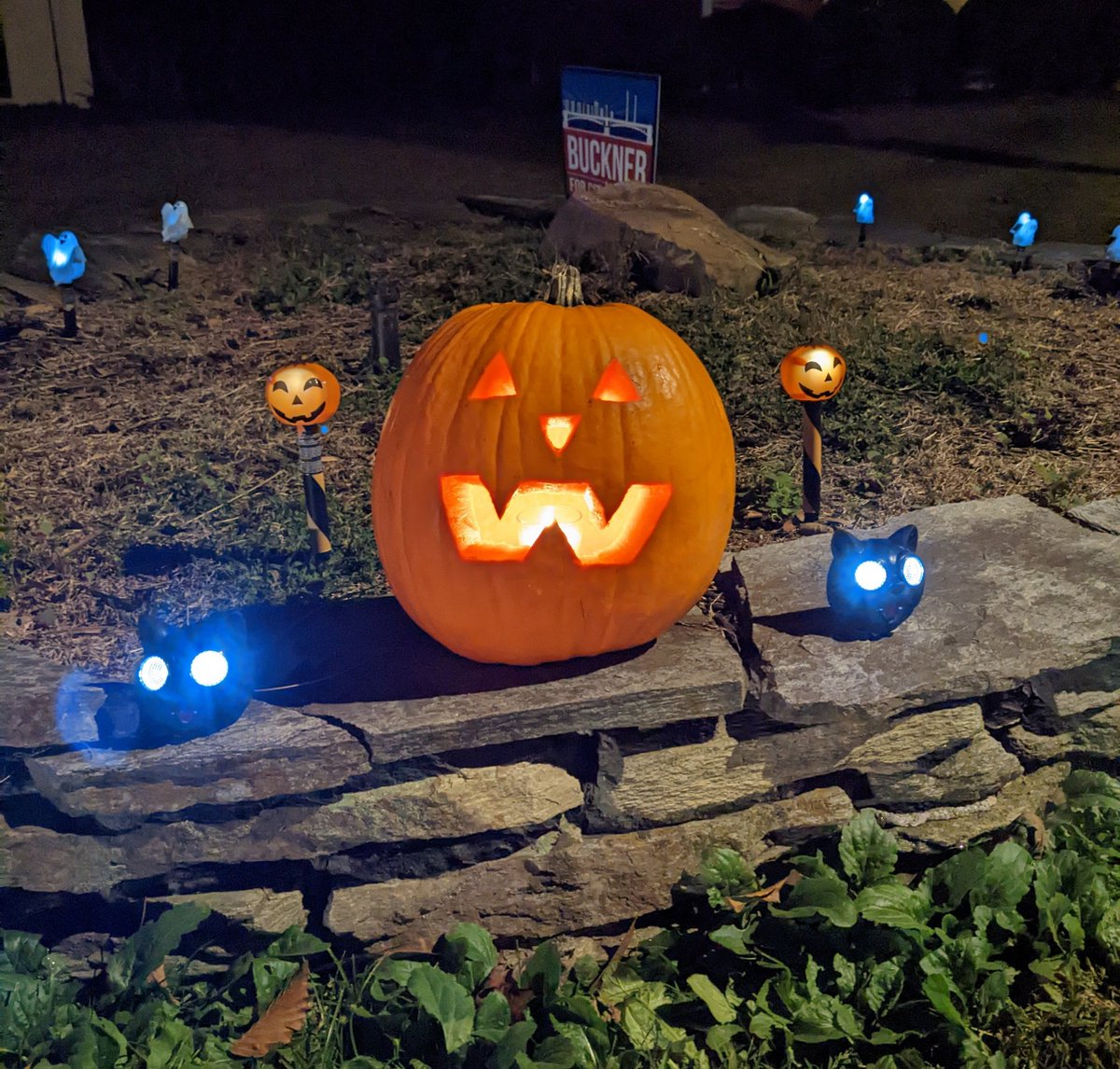 Showcase Magazine tweet media