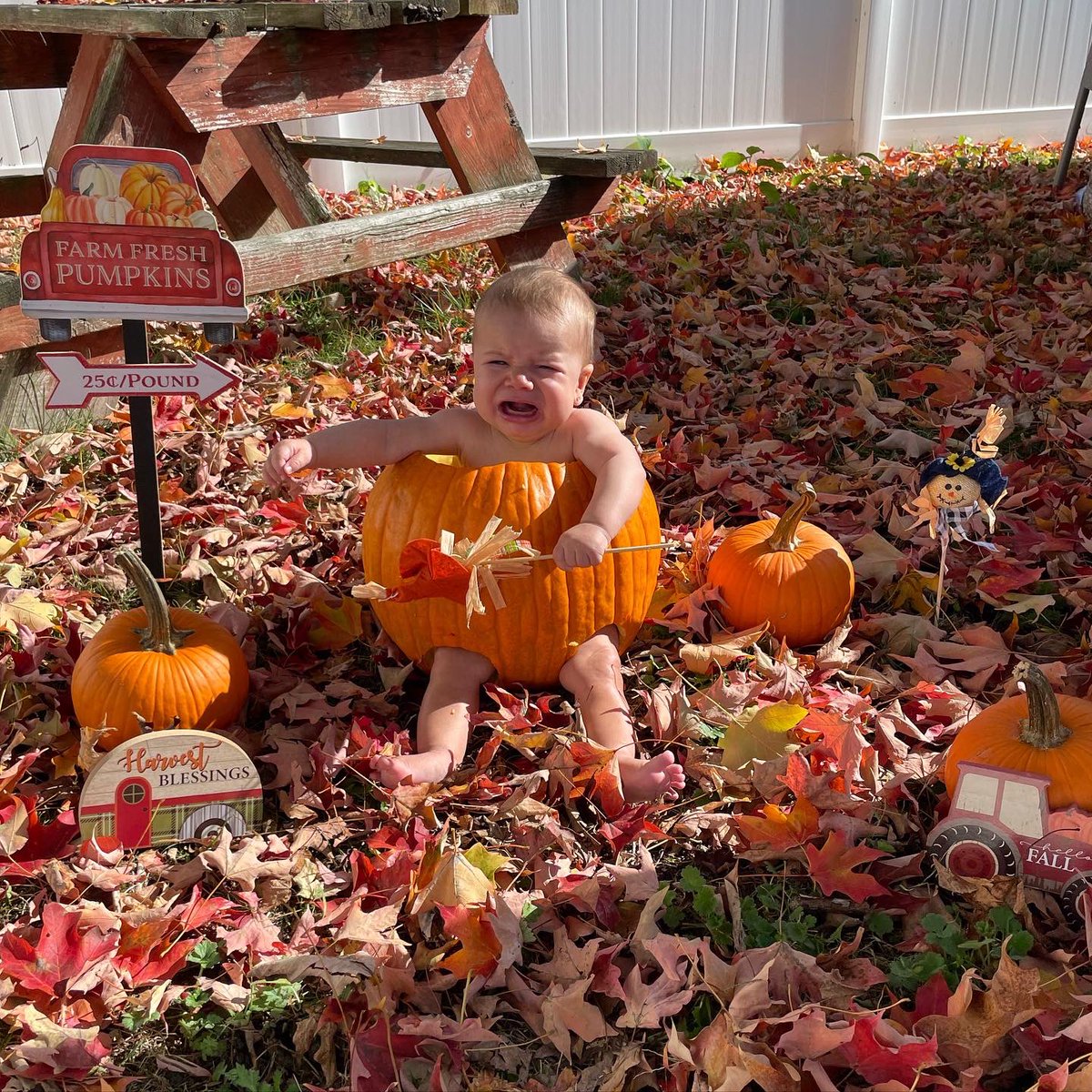 mixedbrittbabe's tweet photo. Happy fall 🍂🍁🎃 https://t.co/vAkwBBK2FM