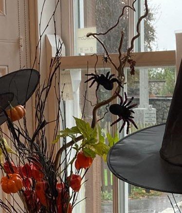 Happy Halloween everyone, and wishing you a successful night out guising 👻🧙‍♀️🕸🦇🕷
#Halloween