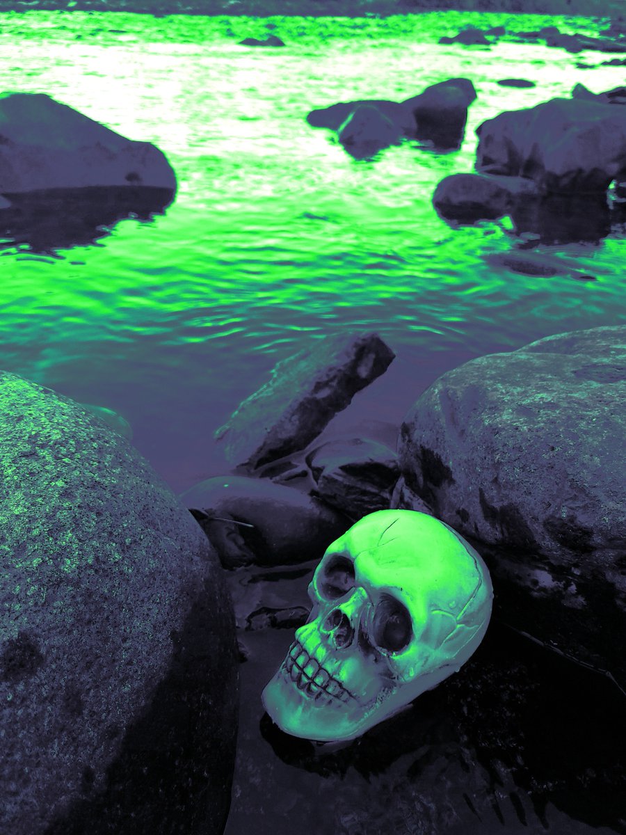 Nick Carlson tweet media