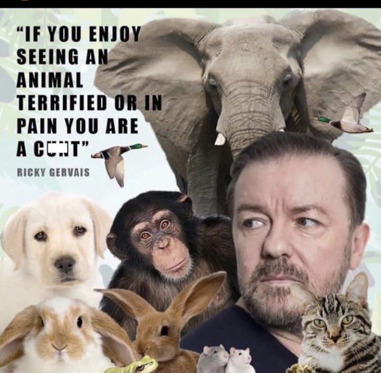 Lin11W's tweet photo. Well said that man👇👇 ⁦@rickygervais⁩ https://t.co/vH9pLhsufa