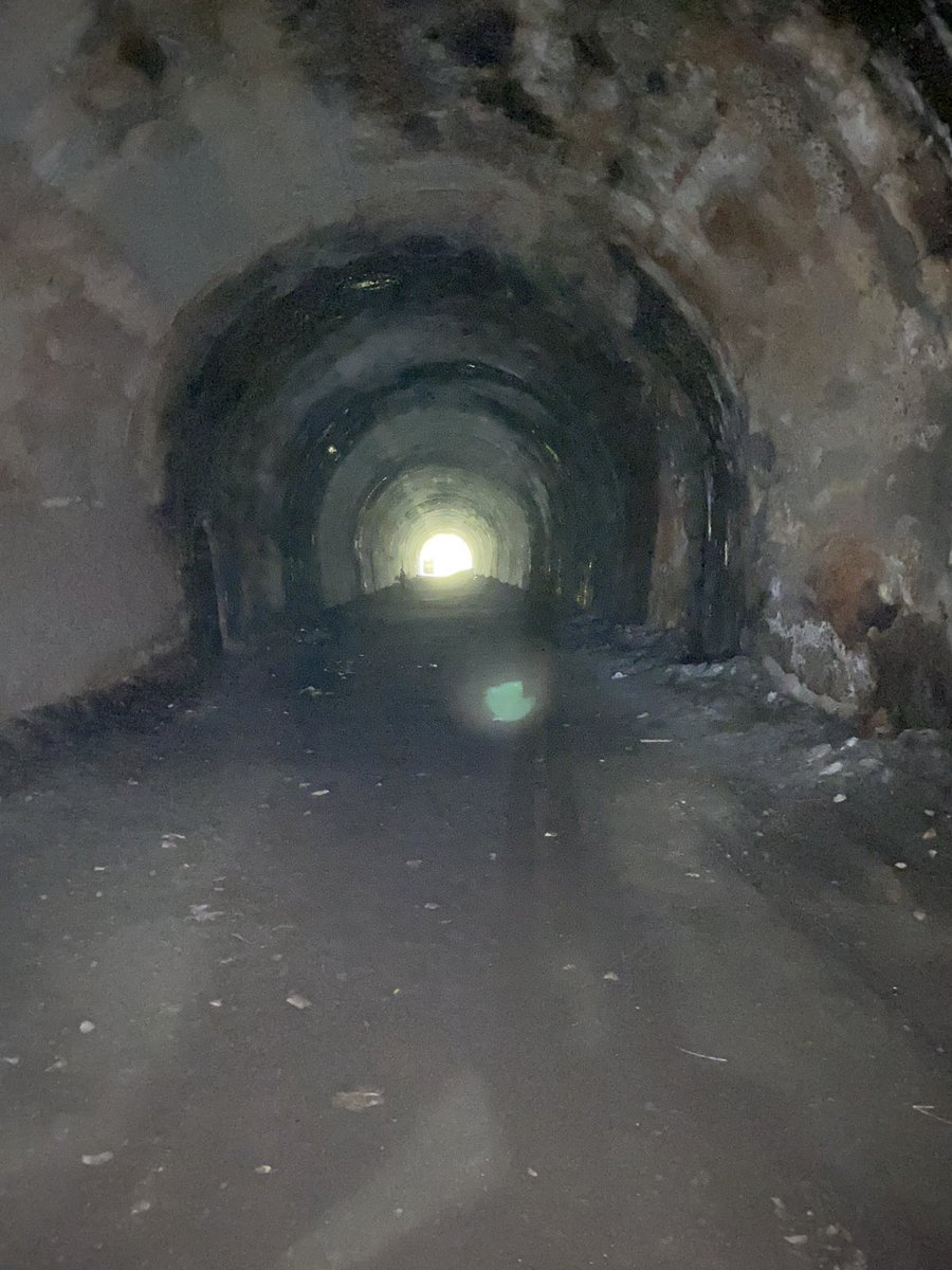 ISPPerthAcademy's tweet photo. Some outdoor learning fun on Friday….a Halloween theme at Glenfarg Tunnels . The bats in the tunnels added to the atmosphere 👻🦇 https://t.co/ogbAG28dIi