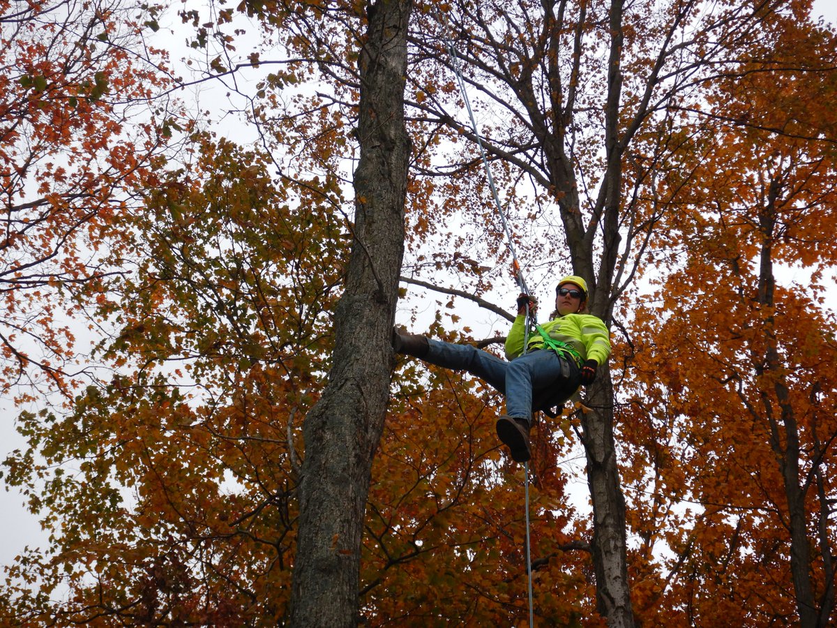 Luke, a senior from Connersville High School and WCC Electricity student, is getting a leg up on his training for becoming a lineman over our Fall Break by completing his pole climbing training through his co-op opportunity at Synergistics Solutions. #WCCOpportunity