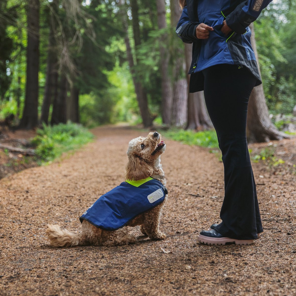 No tricks here just treats 🎃 Have you checked out our @tailsUK X Gill dog coat? Made using our XPLORE® 2-layer waterproof fabric and with a detachable insulated lining, perfect for the rain and the cold! #gillmarine #tailsdotcom #tailsdogfood #collaboration