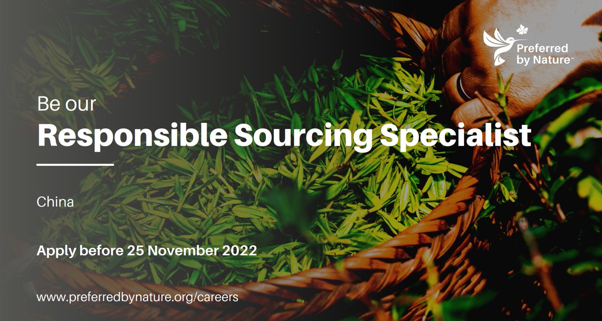 PreferbyNature's tweet photo. Join us as our newest Responsible Sourcing Specialist in #China!

🌲As part of the team, you'll be involved in providing #timberlegality and sustainability services in and beyond China. 💡Find out more here: https://t.co/RVff6ZjLft 

#jobs #hiring #recruitment https://t.co/HwkmhoXR4x