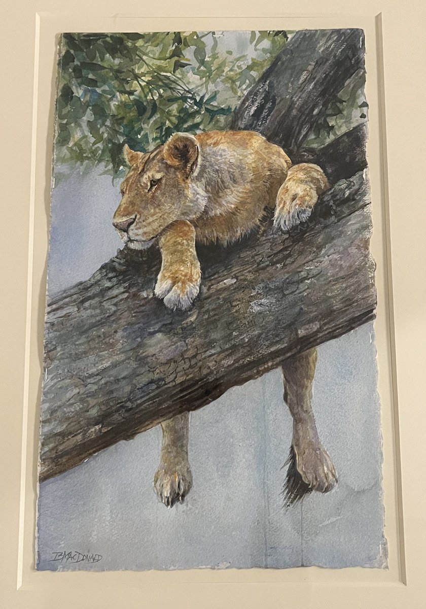 Tweet by LSU Veterinary Med