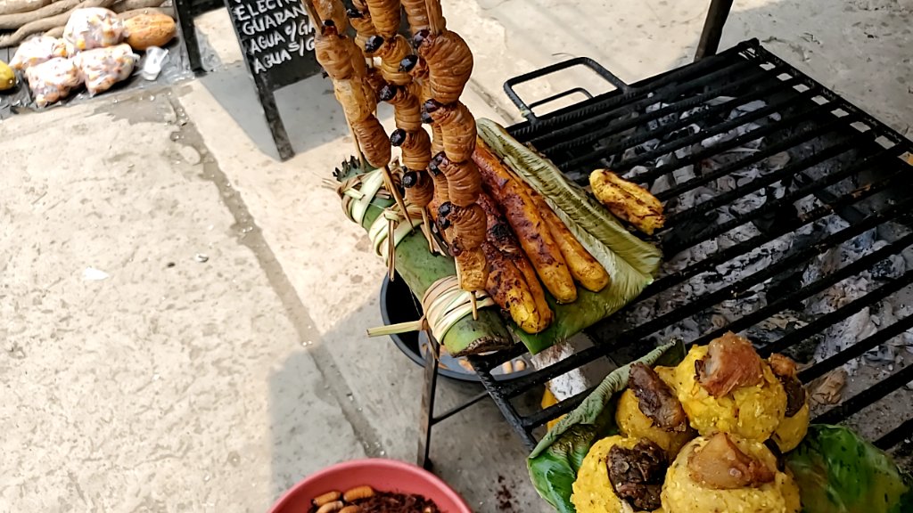 kara_querl's tweet photo. 27. Iquitos, Peru 02/17/2022
Our guide was May
This town is a place we would definitely never have been able to visit without #AmazonExplore it is deep in the rainforest and only accessible by boat. But we learned a lot about foods we knew and some we had never heard of. https://t.co/i2XeDzDrtx