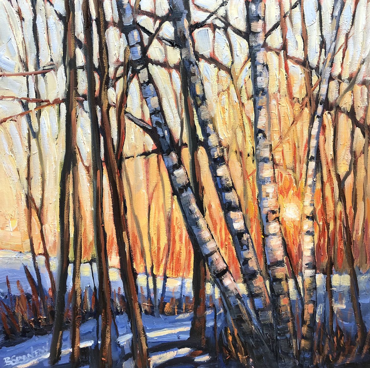 One I started months ago but just got around to put the finishing touches on. From my cross country evening ski last winter in the back woods. 
Edge of the Woods
12x12” oil #art #sunset