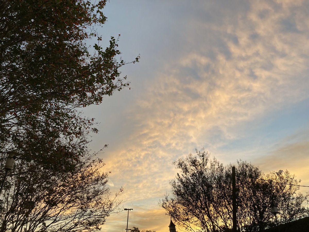 It’s a beautiful morning for voting early!