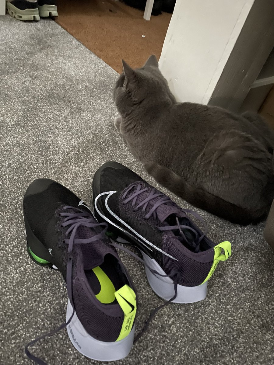 bethplodsalong's tweet photo. 😍
#nike #newshoes #vaporfly #nextpercent #running #runner #run #ukrunchat https://t.co/tqVxKS6Ryp