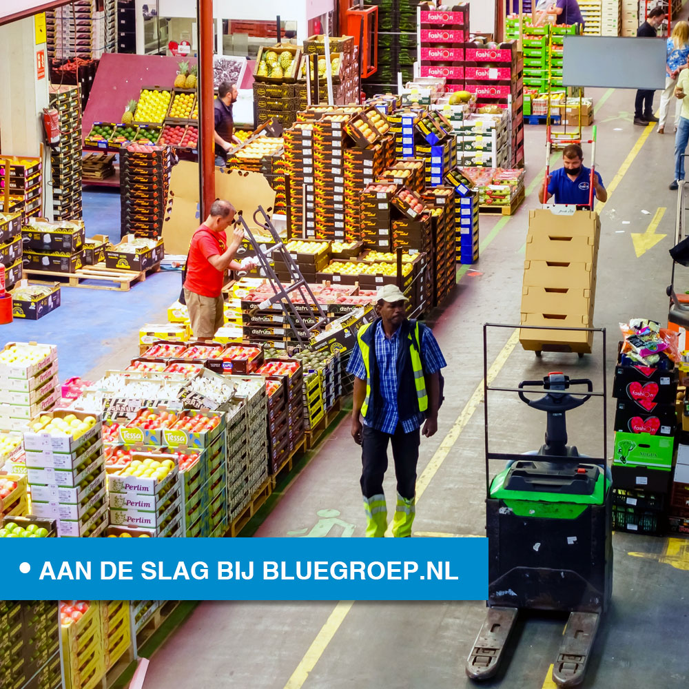 BlueGroep's tweet image. VACATURE: Loodsmedewerker in Maasdijk. Bekijk de #vacature op bluegroep.nl/vacatures/lood… #blue #bluegroep #Maasdijk #werk