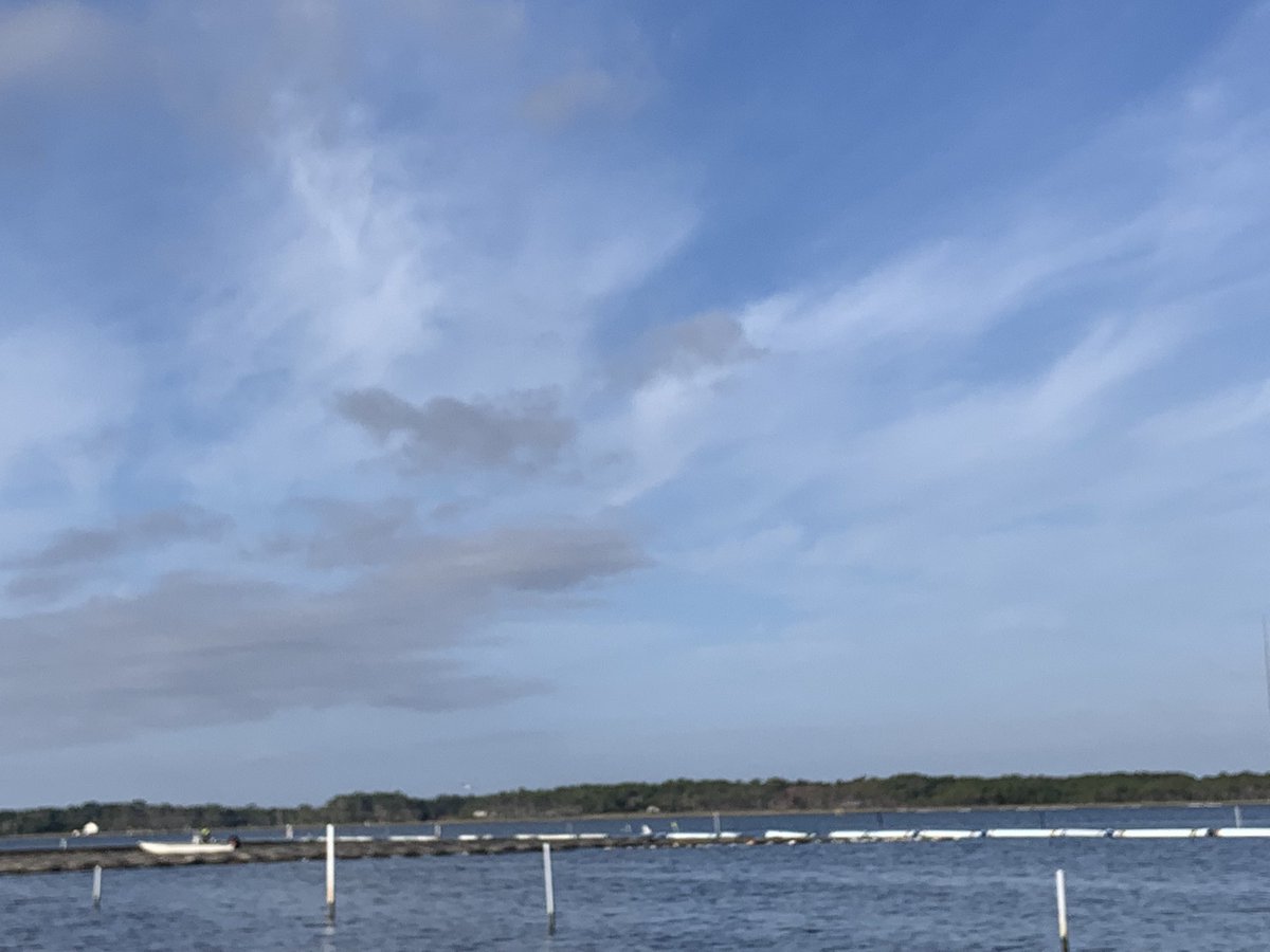 A beautiful fall morning to learn about NC shellfish aquaculture.
