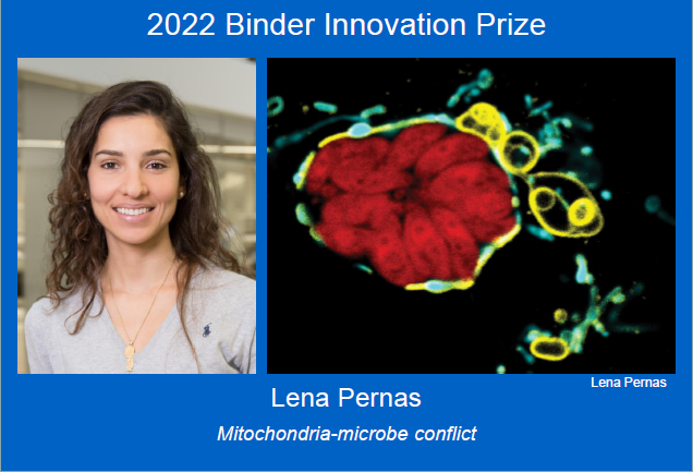 DGZ, @DGZ.bsky.social (@dgz_info) on Twitter photo The 2022 Binder Innovation prize goes to @lenapernas from the @MPIAge in Cologne! Join the ceremony <a href="/DGZ_info/">DGZ, @DGZ.bsky.social</a> on Nov 22nd - 12:30 German time! The 2022 Binder Innovation prize goes to @lenapernas from the @MPIAge in Cologne! Join the ceremony <a href="/DGZ_info/">DGZ, @DGZ.bsky.social</a> on Nov 22nd - 12:30 German time!