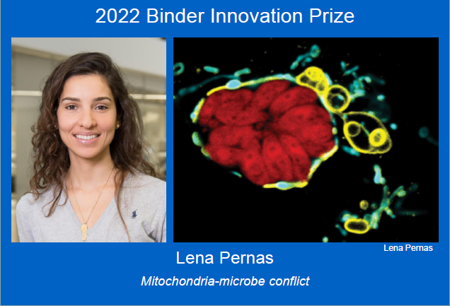 The 2022 Binder Innovation prize goes to @lenapernas from the @MPIAge in Cologne! Join the ceremony @DGZ_info on Nov 22nd - 12:30 German time!