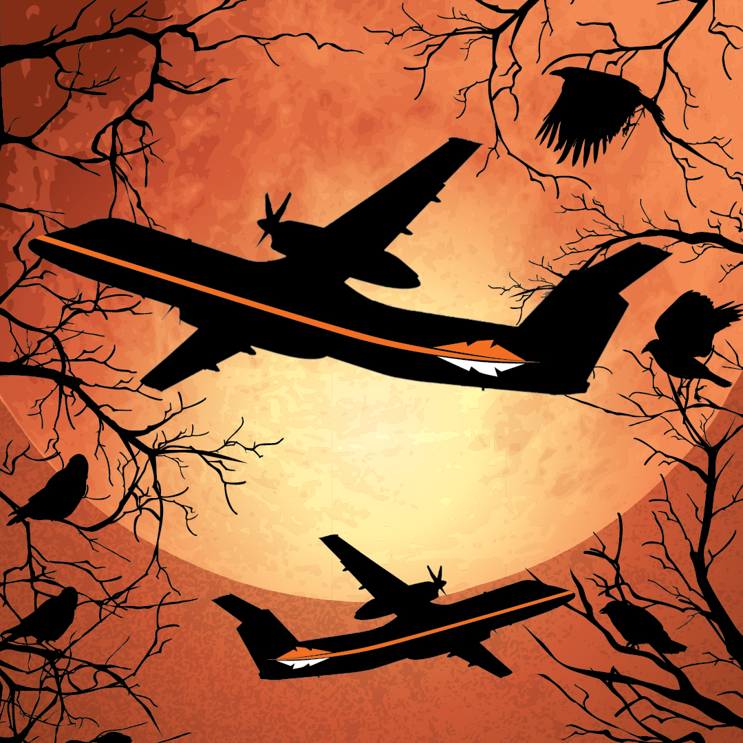 Perimeter Aviation tweet media