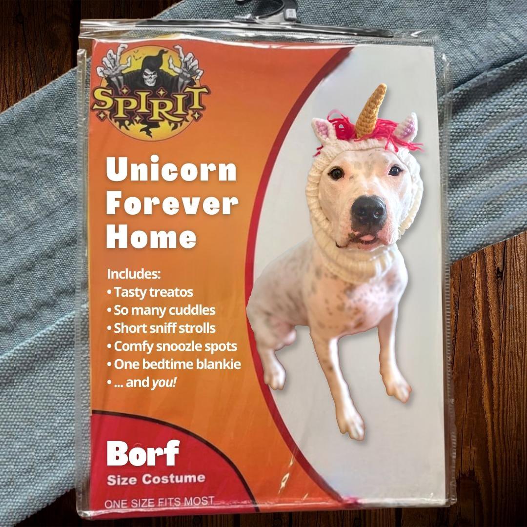 Vicky Pridgen tweet media