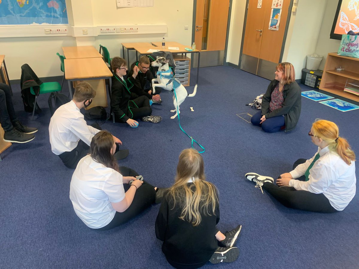 StPaulsSfl's tweet photo. Another furry visitor for our department today!๐ฆด๐พ Phoenix and her owner Rebecca who work for #pawsforprogress came in to work with some of our S4 pupils! https://t.co/Fg9De6eE9J