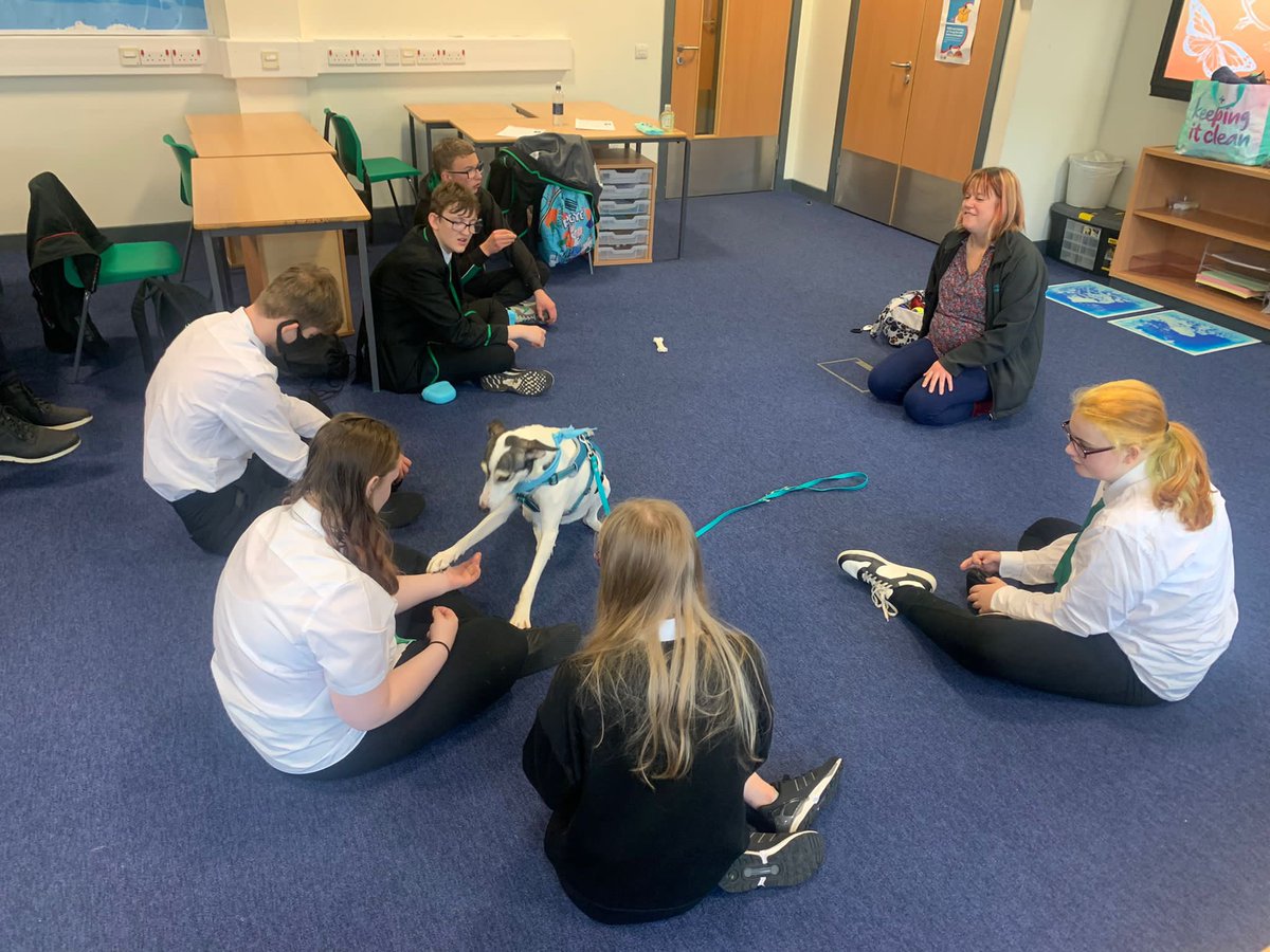 StPaulsSfl's tweet photo. Another furry visitor for our department today!๐ฆด๐พ Phoenix and her owner Rebecca who work for #pawsforprogress came in to work with some of our S4 pupils! https://t.co/Fg9De6eE9J