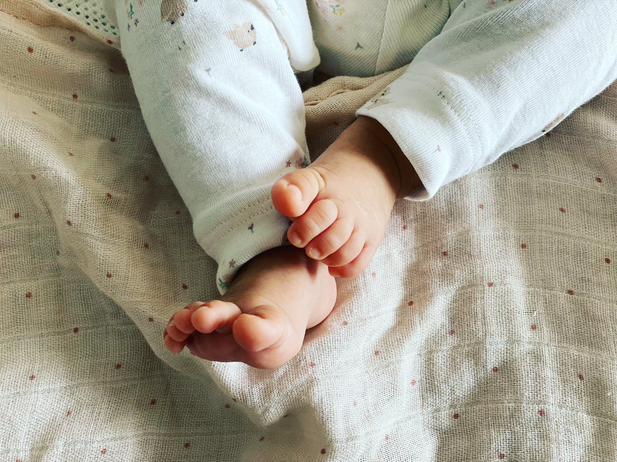 lelepn03's tweet photo. Amo estes pezinhos 😍 https://t.co/Dru14ZEfUR