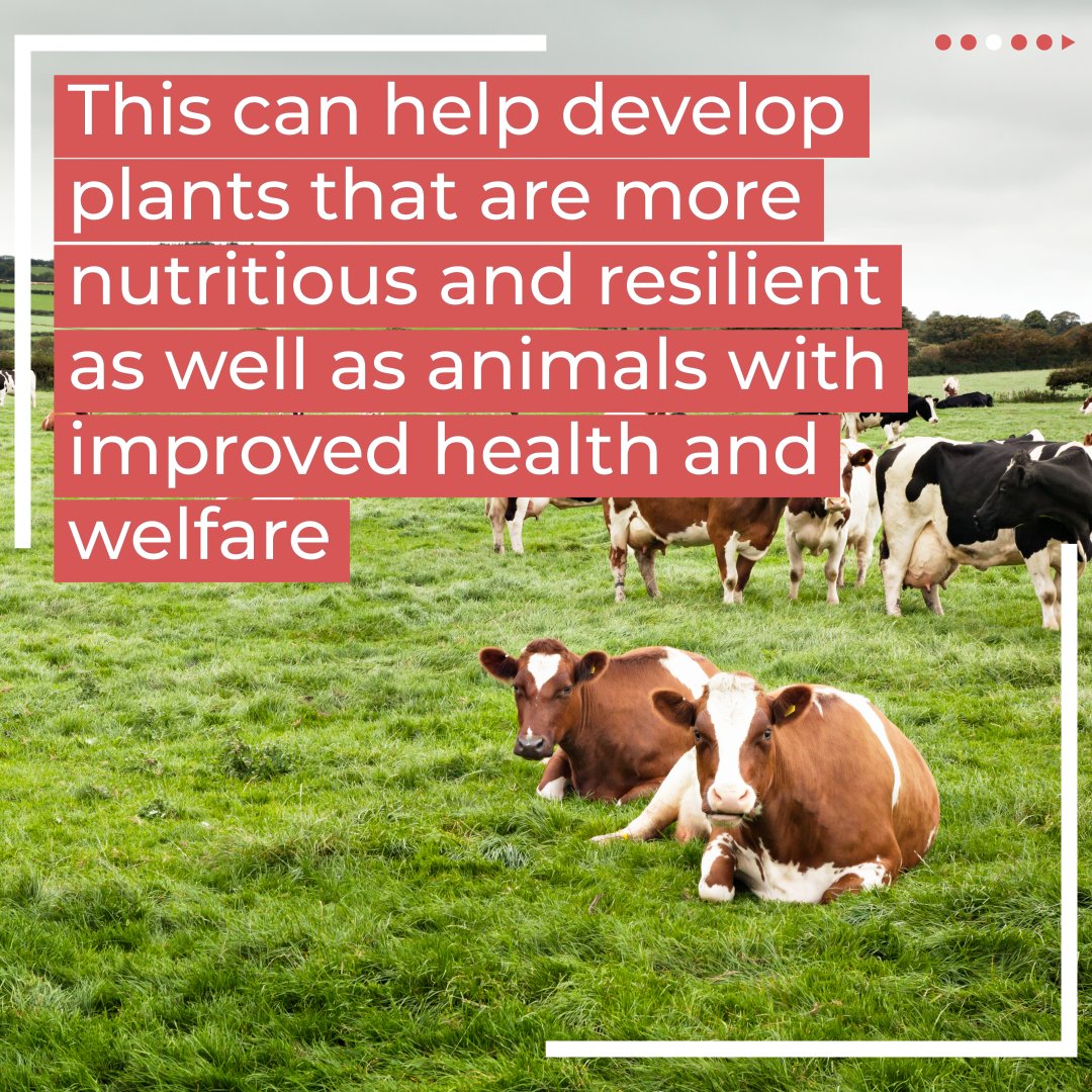 kewgardens: RT <a href="/DefraGovUK/">Defra UK</a>: Our Genetic Technology Bill has reached a crucial milestone in Parliament. 📃

The Bill will introduce science-based regulation of precision-bred plants and animals.

But what is Precision Breeding?

Read our explainer to f…