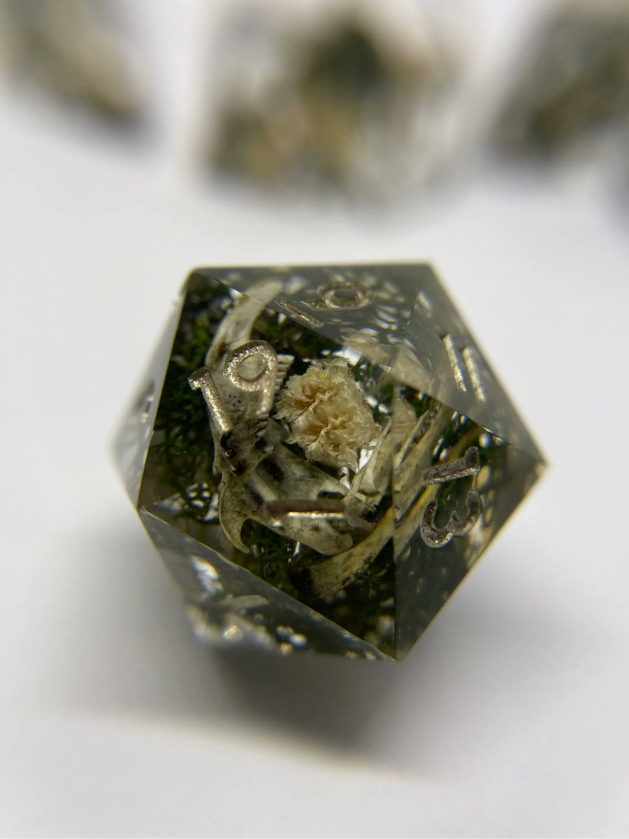 ArcaneFey's tweet photo. 💀 Gentle Repose 💀

Dice with real bones that are set on top of bed of moss, then adorned with baby’s breath. #dice  #dnddice #ttrpg #handmadedice #d20 #dnd https://t.co/91xRWl2VMY