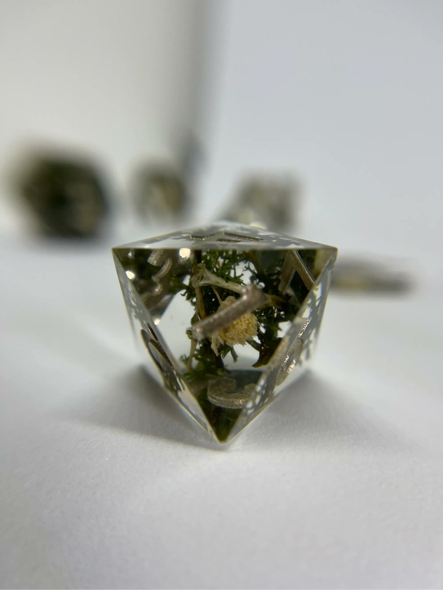 💀 Gentle Repose 💀

Dice with real bones that are set on top of bed of moss, then adorned with baby’s breath. #dice  #dnddice #ttrpg #handmadedice #d20 #dnd