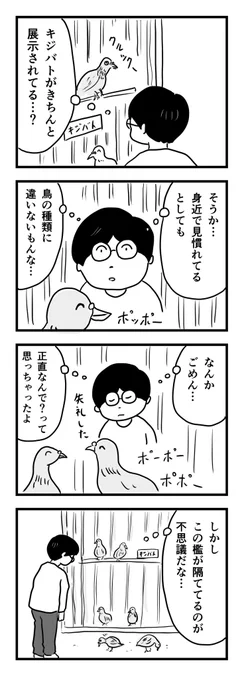キジバト

#1Pマンガ 
