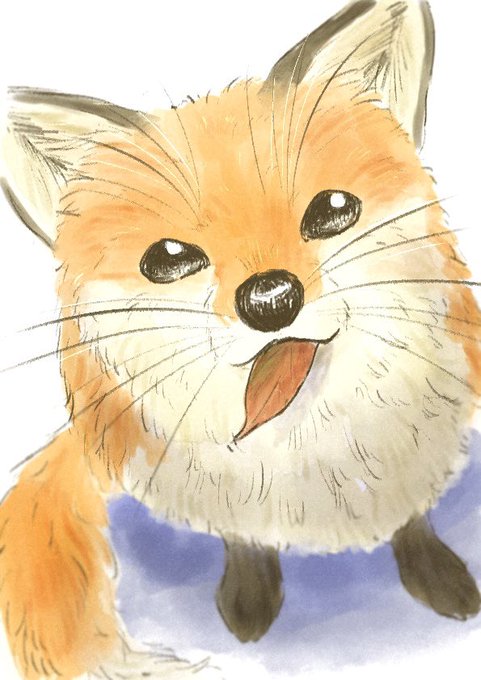「cat fluffy」 illustration images(Oldest)｜6pages