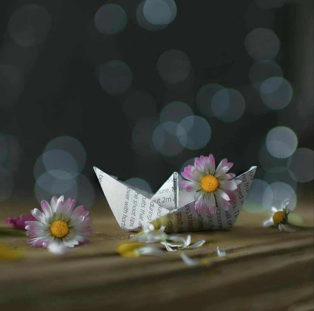 تأكد أن الزمن سيغير فيك أشياء كثيرة؛
مفاهيمك، 
قناعاتك، 
اهتماماتك، 
أفراحك،

لكن إياك أن تتركه يغير فيك أموراً لا تقبل التغيير، 
كمعدنك الطيب،
 ومبادئك،
 وأخلاقك،

فإن مياه البحار والمحيطات لا تغرق قارباً صغيراً، 
ما لم تتسرب بداخله المياه

#خواطر_شعاع