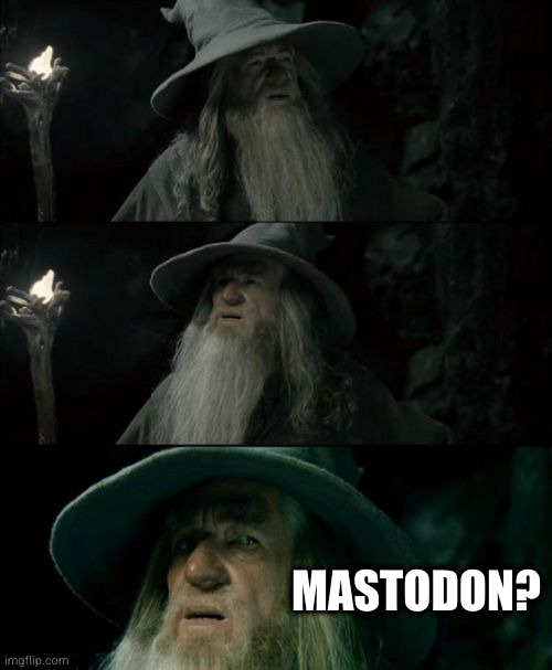Manuel Rein (@maevrynn) on Twitter photo My face when I opened Twitter after a few days. My face when I opened Twitter after a few days.