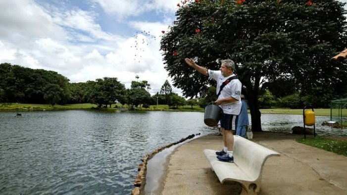 Esperança de novos (velhos) tempos em 2023!