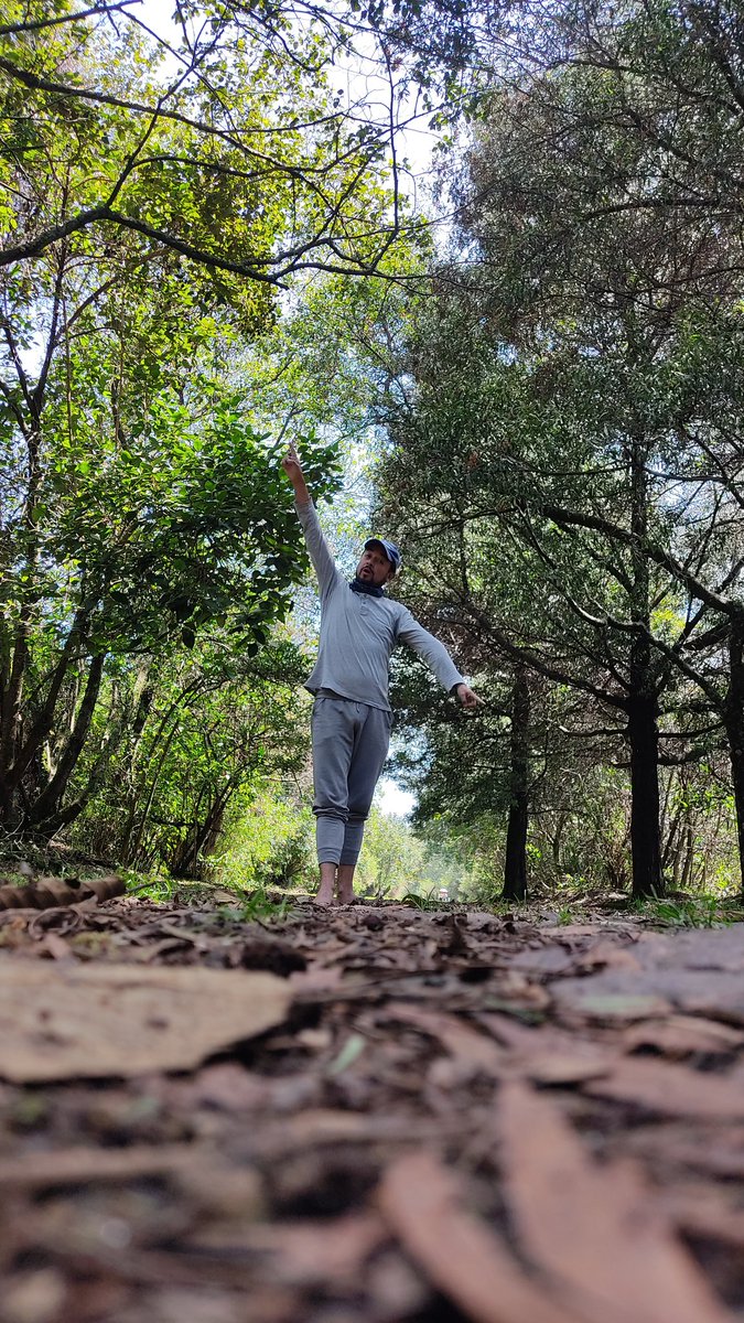 Conexión con la naturaleza