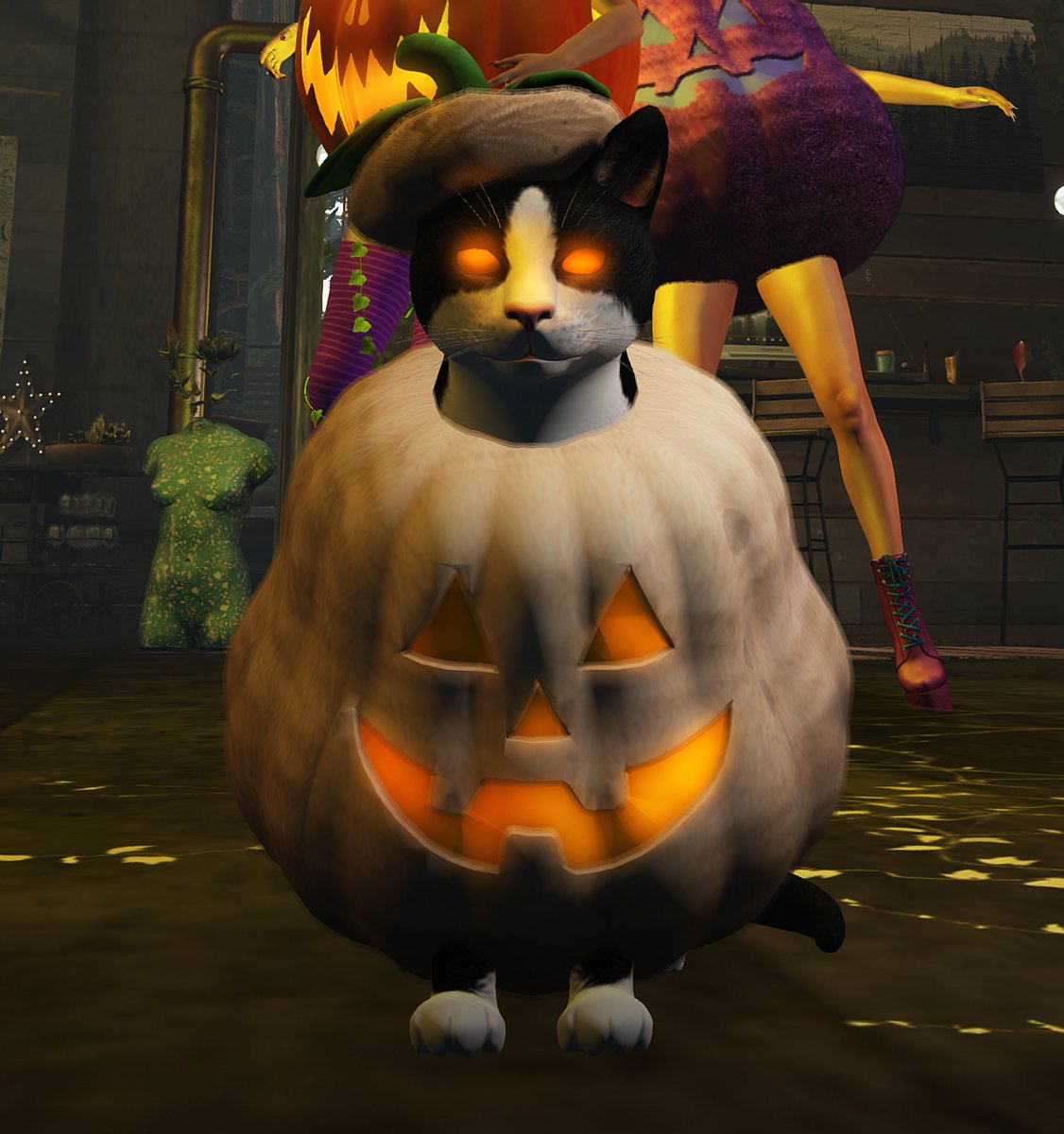 natcatdj's tweet photo. Happy Halloween everyone! 👻🎃
#secondlife #halloween #zoobys https://t.co/vbTuYWQ8Sp