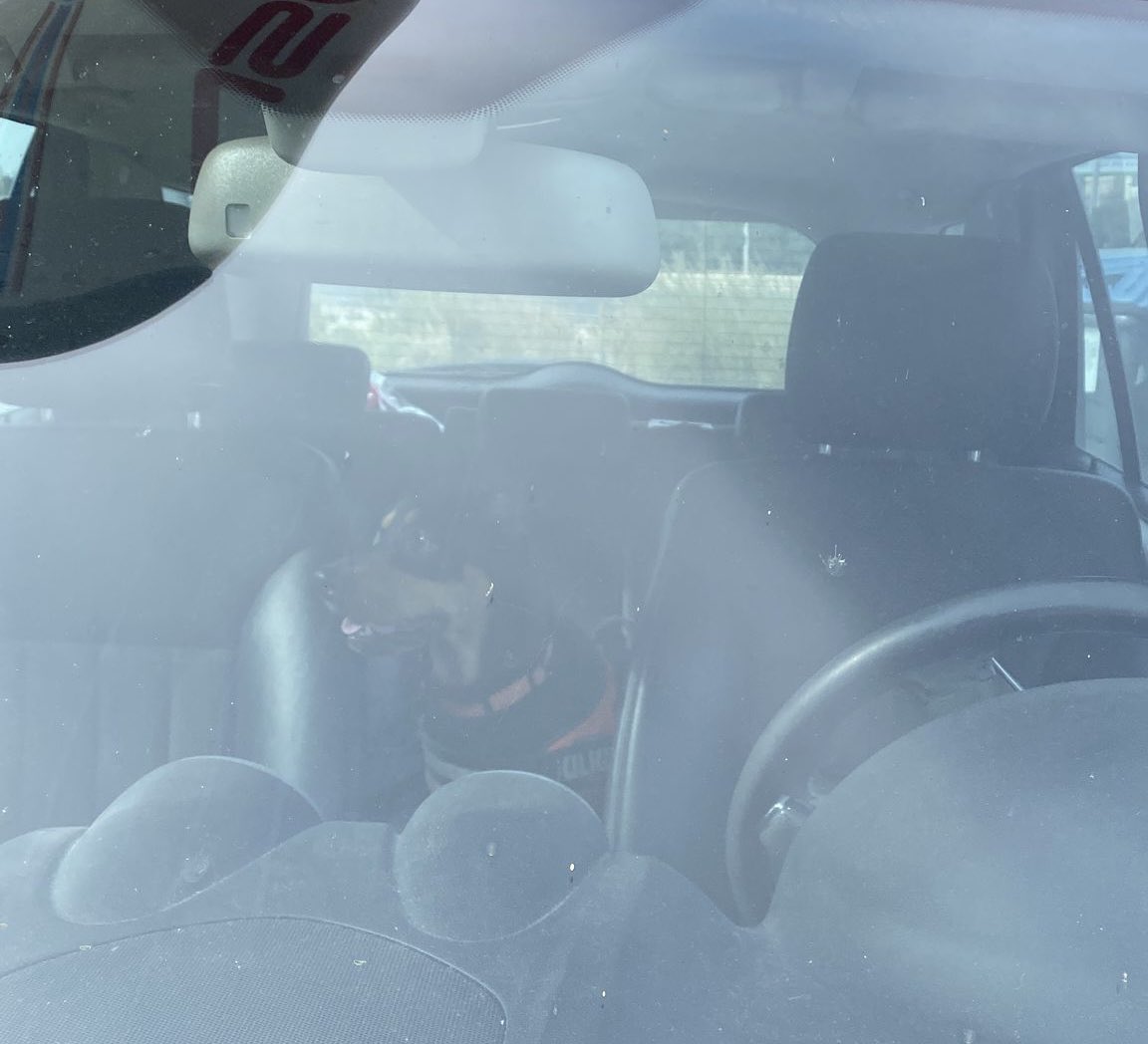 MartaxV's tweet photo. Antes de ayer mis padres pasaron por una gasolinera y la chica que trabajaba allí les pregunto si tenían al niño disfrazado de halloween en el coche. El niño: https://t.co/qN75tbUUfh