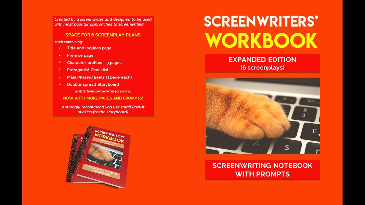 Steve Insta tweet media