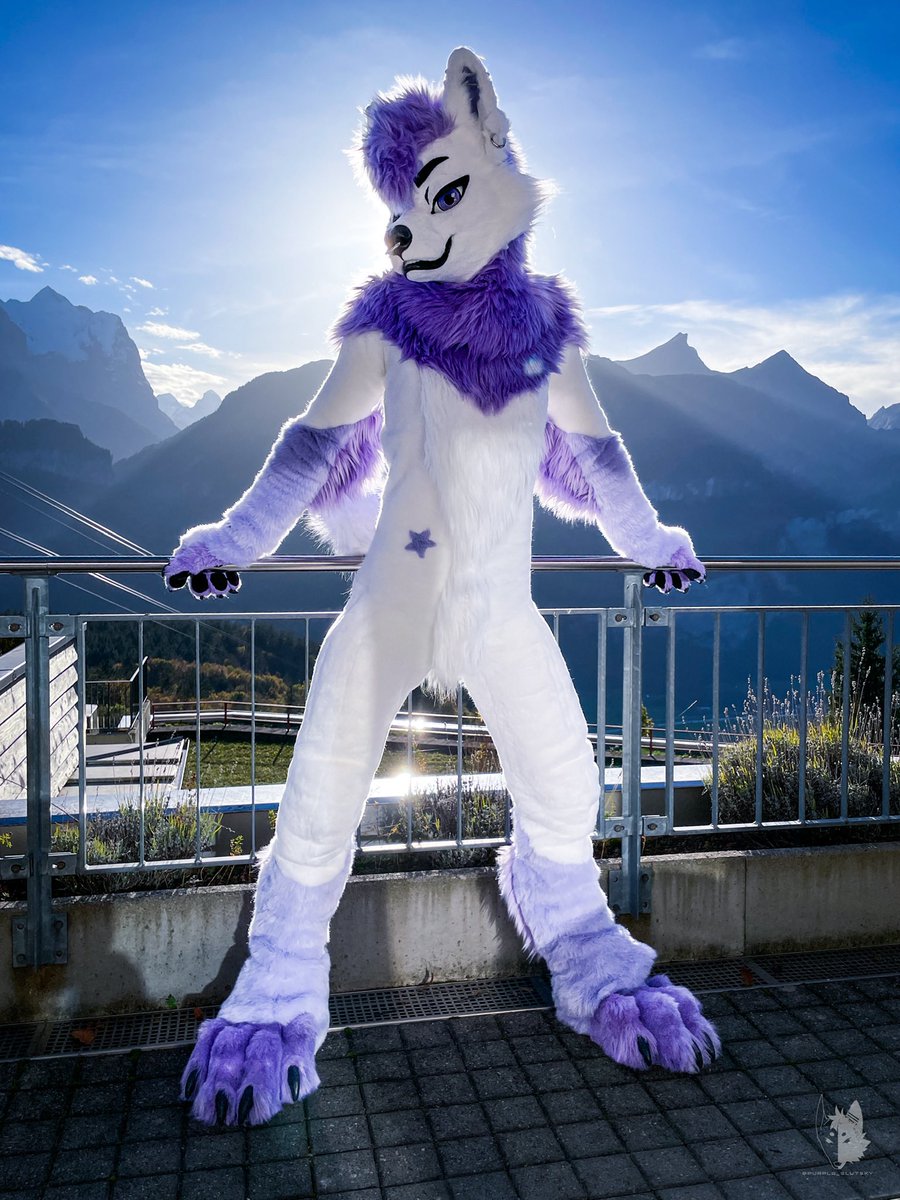 Philly 2.0 is here and i cant be happier with how it turned out. <a href="/FrosstFursuits/">.</a>  did stelar work on it 🥰😍 thank you so much ^\\\\^ 

📸:<a href="/MarMarHusky/">MarMar Hoosk 🔜 FWA, CFZ</a> 
#GLC12 #FursuitEveryday