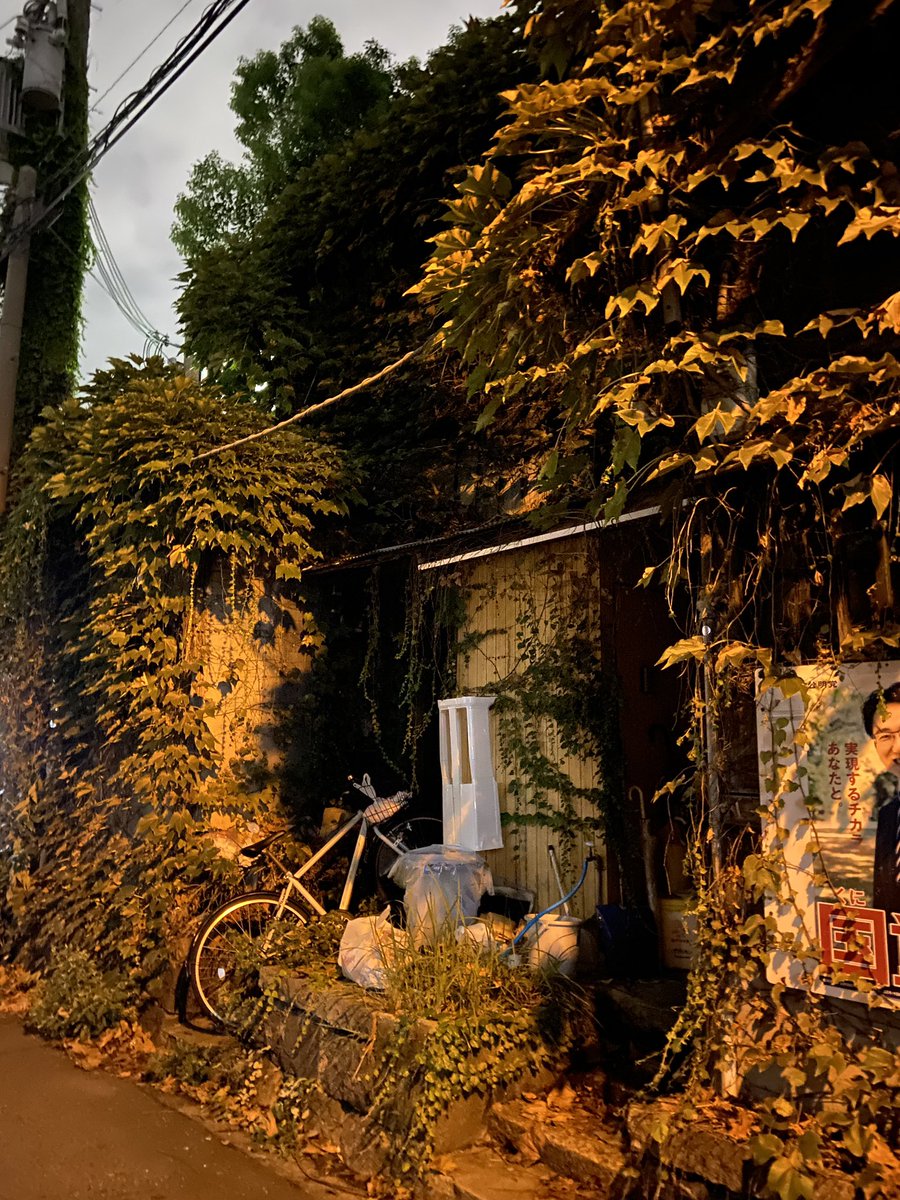 #HappyHalloween! 🎃 If any house were to be haunted it would be this one. 👻 Abandoned and covered in ivy. Back street in the Himejima area of #Osaka #Japan #Halloween #ghosts #spooky #Japanese