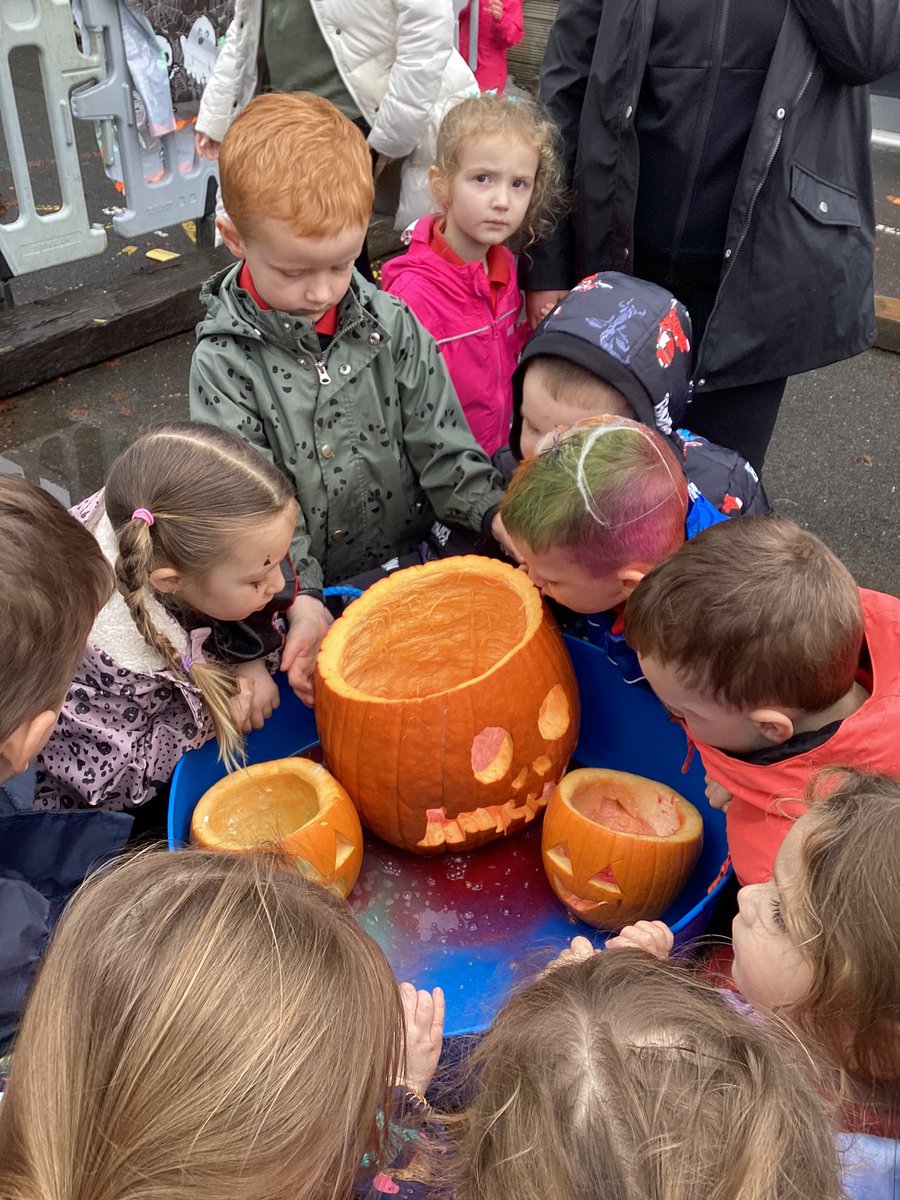 Carlibarnursery tweet media