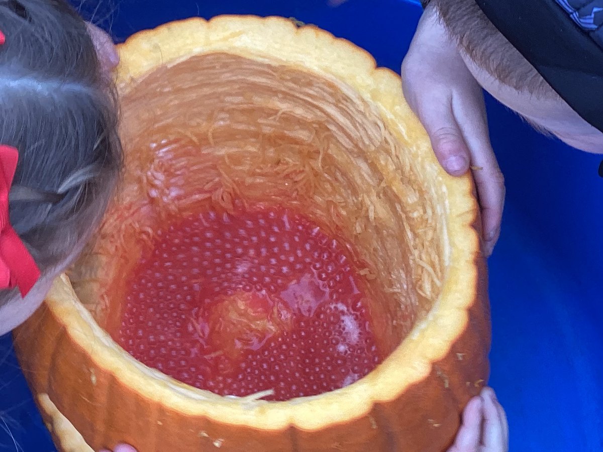 Carlibarnursery tweet media