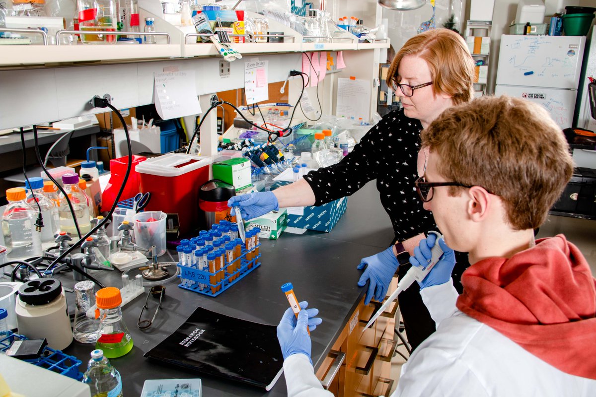 NiagaraUniv's tweet image. Looking to go into the field of Biology? 🌱🔬

There's no better place to gain the experience, expertise, and passion than at Niagara University!

Learn more at niagara.edu/biology!