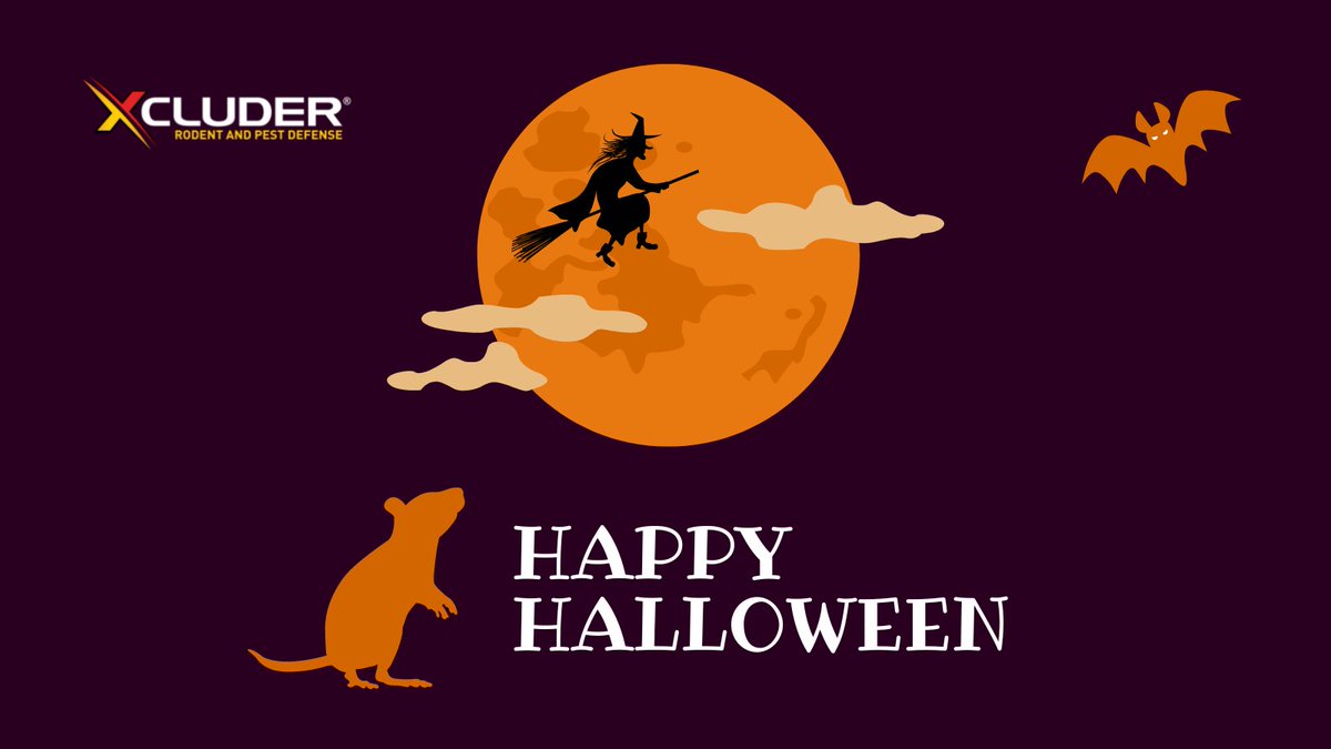 XcluderRodent's tweet photo. Wishing everyone a spooktacular Halloween! 
#Xcluder #HappyHalloween https://t.co/6G5rSic3HF