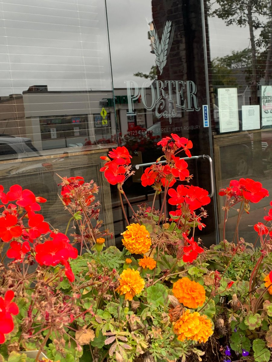 Random shots of Centre Street as autumn settles in. #westroxburymainstreets