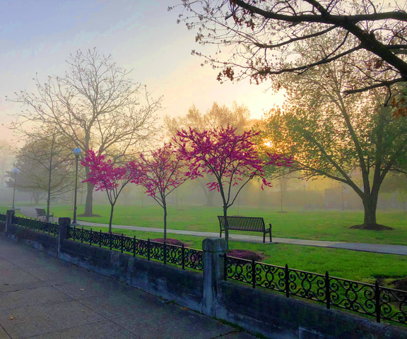 Tonight by midnight is your last chance to submit your photo for our annual calendar photo contest! 

🏆 Prizes will be awarded in the amounts of $300 for 1st place, $200 for 2nd, &amp; $100 for 3rd place.

Please visit hop-electric.com/community/2022… for more information.

📷 David White