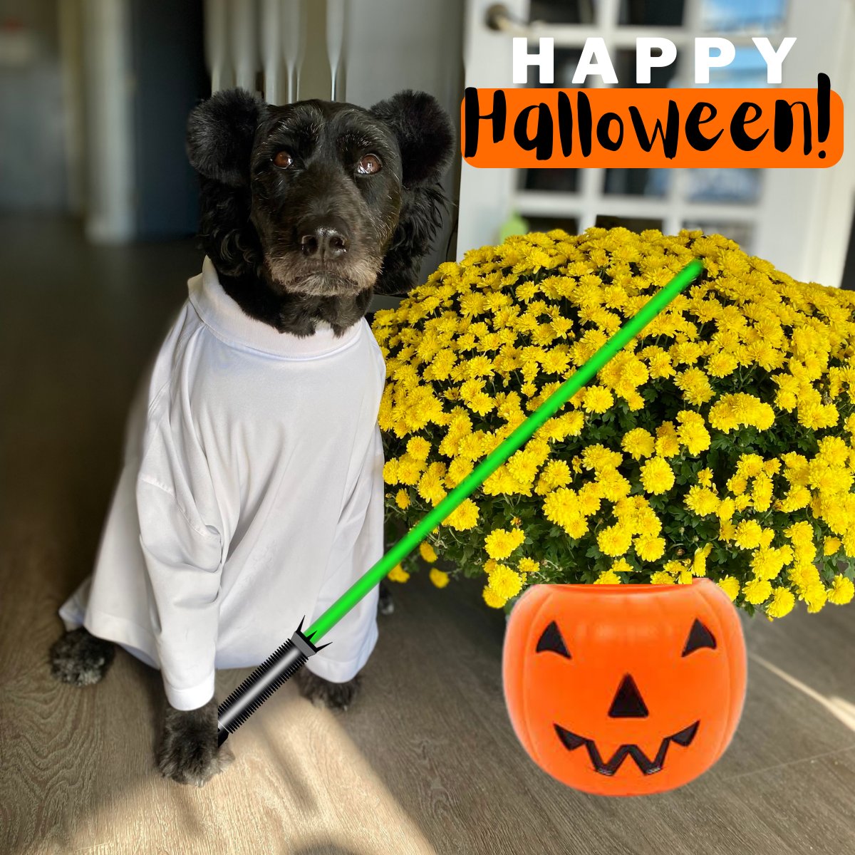 Happy Halloween! 🎃 - mailchi.mp/globetron/happ…
